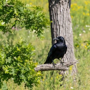 WhatsApp Image 2025-05-06 at 19.53.12